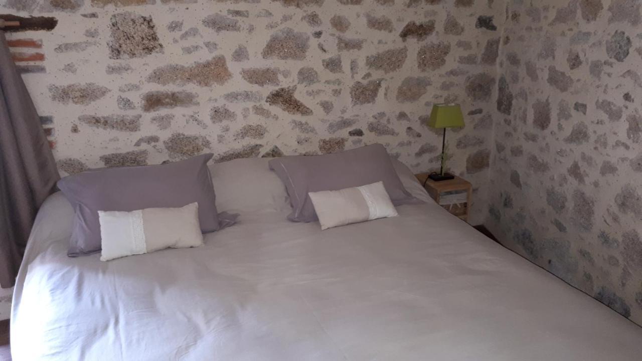 Bed and Breakfast Demeure Du Castel Les Châtelliers-Châteaumur Exterior foto