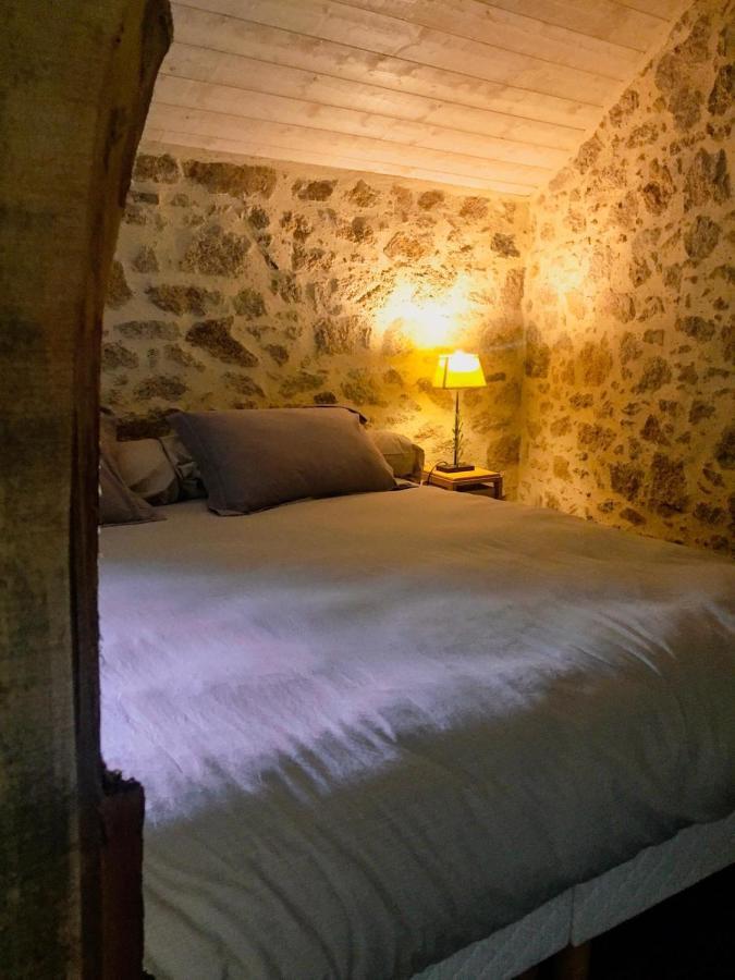 Bed and Breakfast Demeure Du Castel Les Châtelliers-Châteaumur Exterior foto